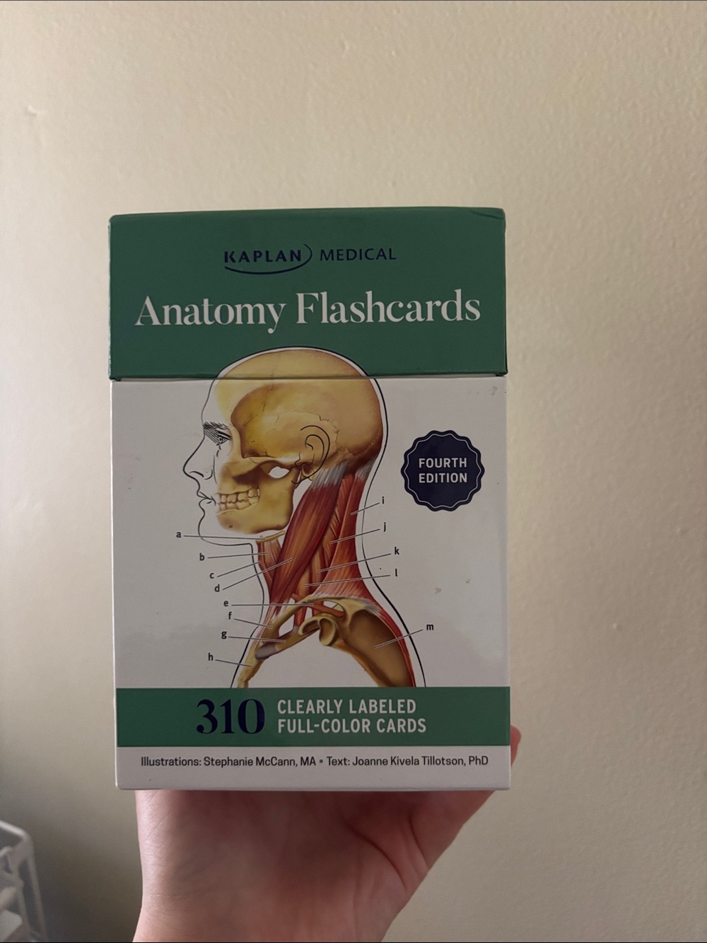 Kaplan Anatomy Flashcards in Green and White